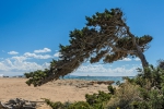 Blick auf Formentera